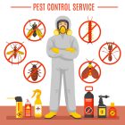 5 Reasons You Must Keep Rats Out of Your Home