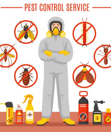 5 Reasons You Must Keep Rats Out of Your Home