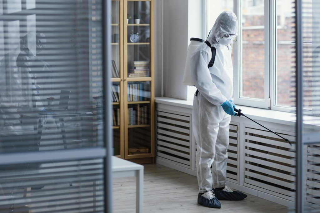 Discover the Risks of Using Toxic Fumigants in Pest Control