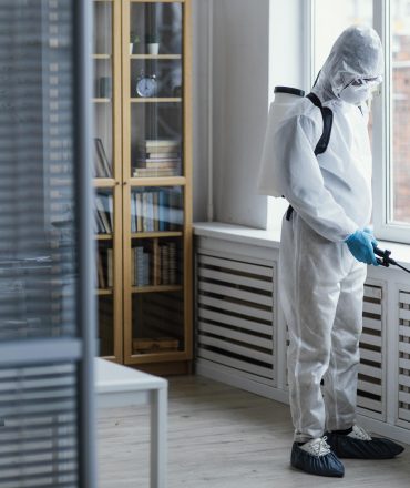 Discover the Risks of Using Toxic Fumigants in Pest Control