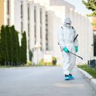 How to Employ Pest Control Strategies in Your Home for Different Pests