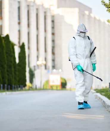 How to Employ Pest Control Strategies in Your Home for Different Pests