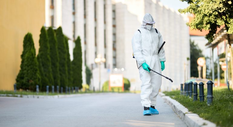 How to Employ Pest Control Strategies in Your Home for Different Pests